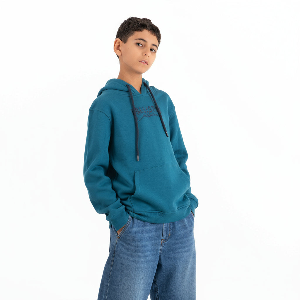 Boys Hoodie Hollister Padded (Pereoleum)