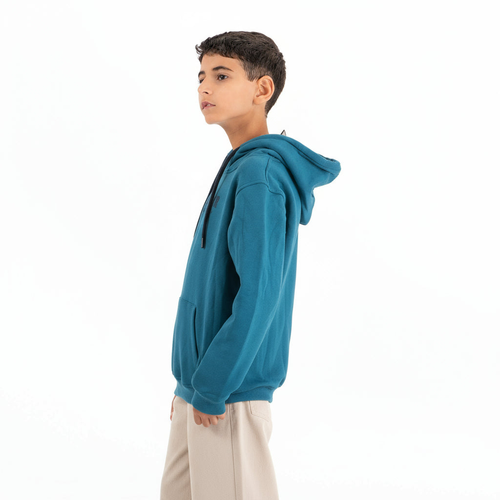 Boys Hoodie Hollister Padded (Pereoleum)