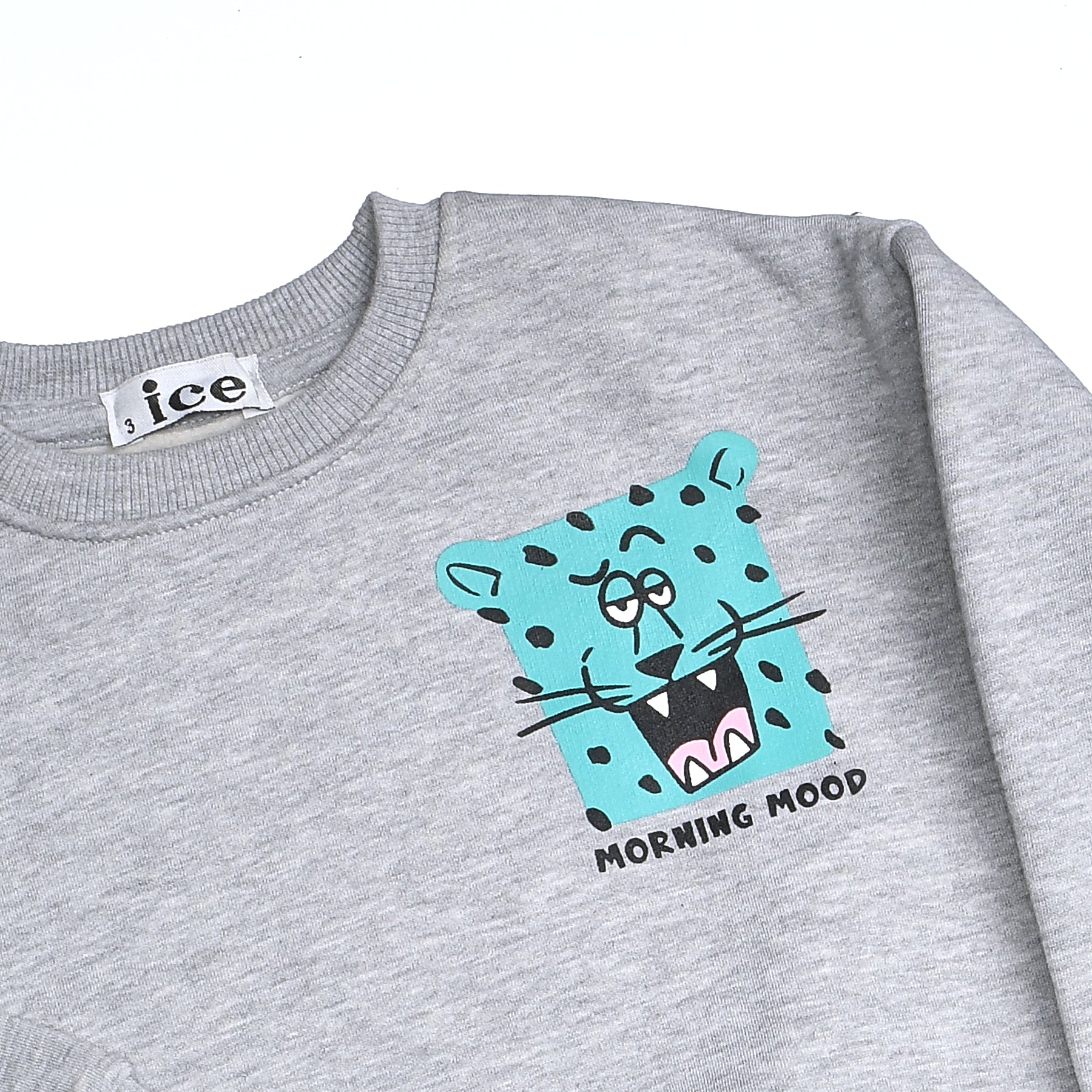 Boys Crew Neck Printed Padded Melton (Gray)